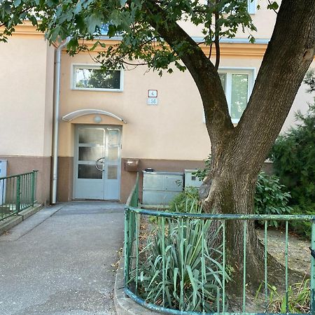 Stadium Apartment Bratislava Exterior foto